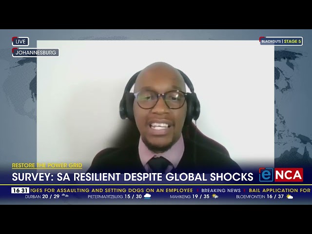 Restore the power grid | Survey: SA resilient despite global shocks