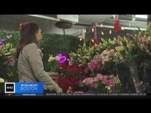 Massachusetts florists prepare for Valentine's Day delivery issues ahead of Tuesday's stor