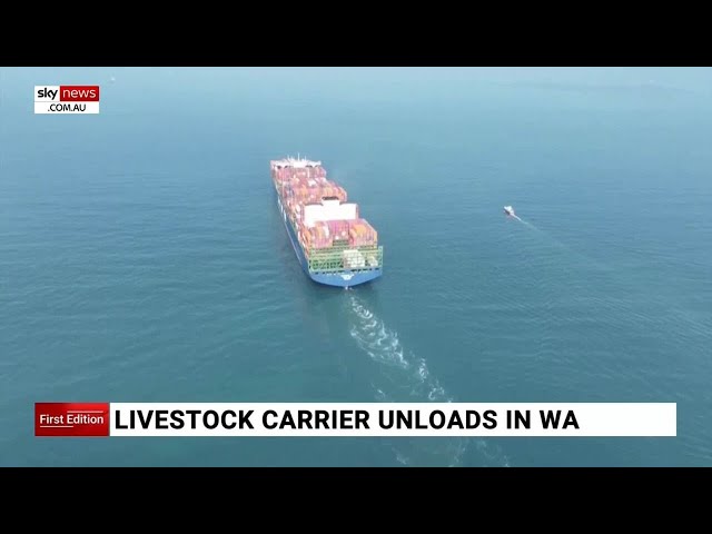 Stranded livestock ship returns to WA as death toll revealed