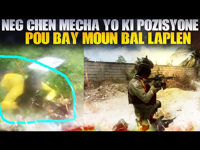 Videyo Plizyè Solda Chen Mechan Atè Anpozisyon Kap Met Bal Nan Laplèn, Pep La Nan Lari