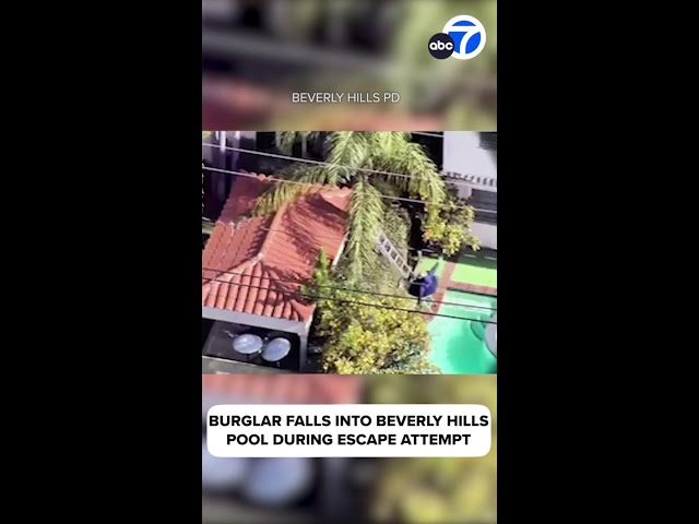 Burglar falls into pool at Beverly Hills home while trying to escape