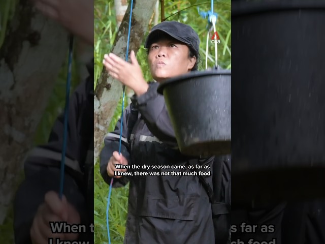 The visually impaired woman saving endangered gibbons in an Indonesian village