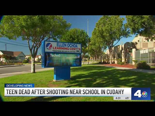 Two teens killed in different shootings near school campuses