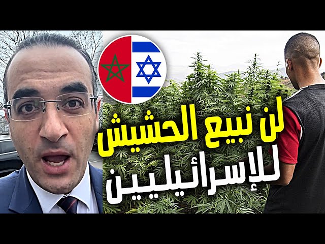 تجار الحشيش في المغرب يُقاطعون الإسرائيليين بسبب غزة