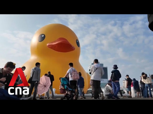 Giant rubber ducks return to Taiwan after a decade