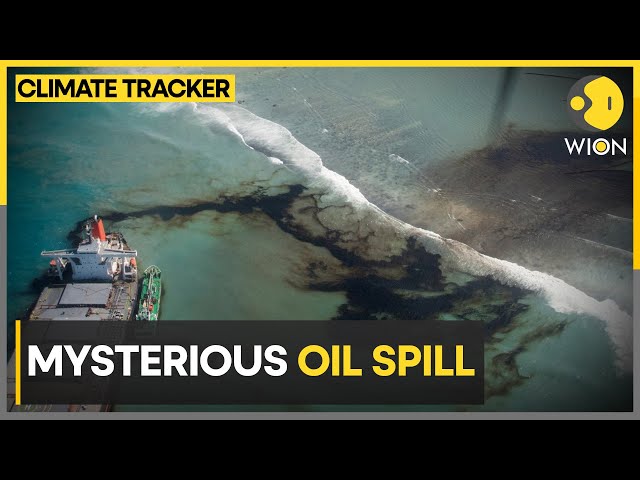 Oil spill hits Trinidad and Tobago after mystery vessel capsizes near island | WION Climate Tracker