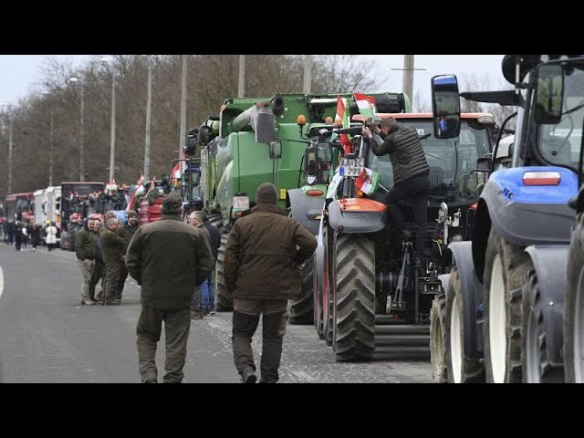 Colère des agriculteurs à travers l'Europe : la mobilisation se poursuit