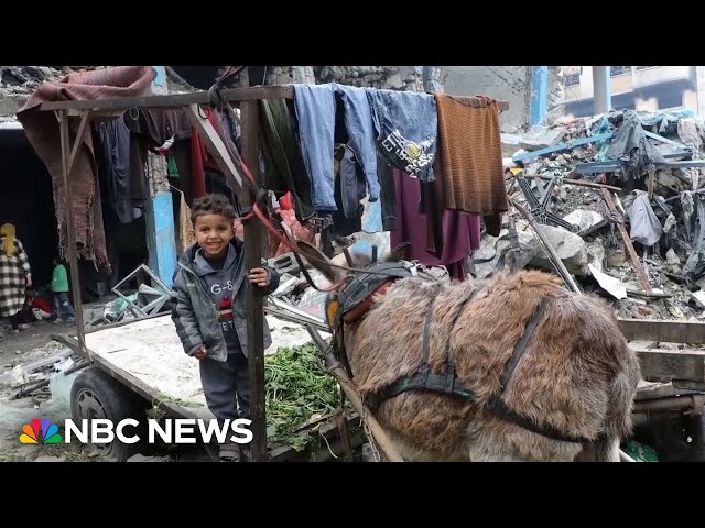 Displaced Gazan families find shelter in a destroyed school