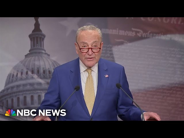 Schumer calls on House to pass foreign aid package for Ukraine and Israel