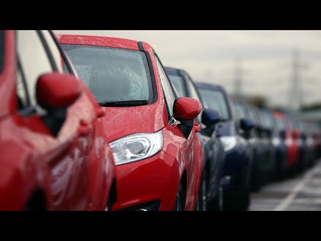 Australians are ‘never going to give up their cars’: Caleb Bond