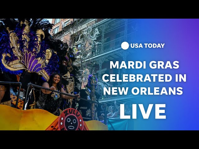 Watch live: New Orleans celebrates morning Mardi Gras festivities