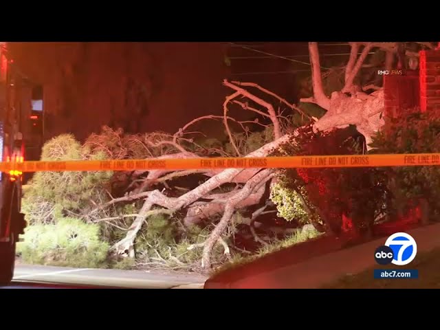 Coldwater Canyon Drive closed due to downed tree, power lines