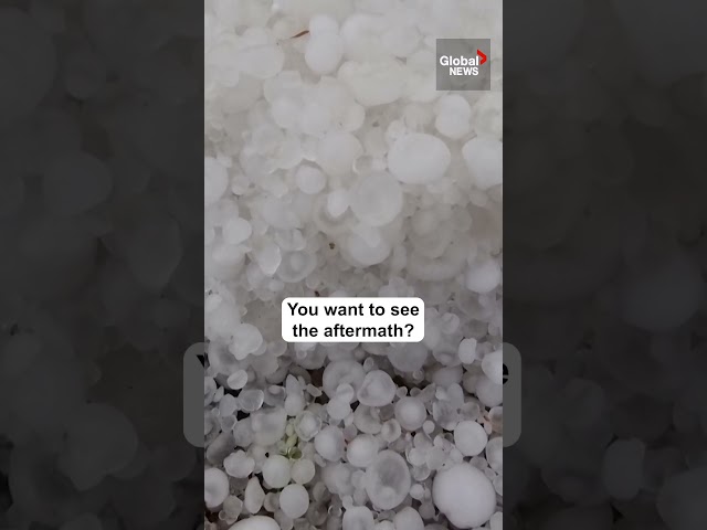 Hailstorm covers UAE streets with large chunks of ice in rare weather phenomenon ❄