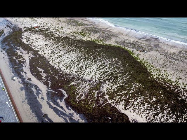 Les vestiges d'un mur vieux de 11 000 ans découverts dans la Baltique