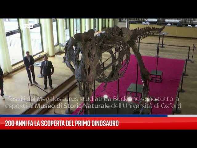 ⁣200 anni fa la scoperta del primo dinosauro