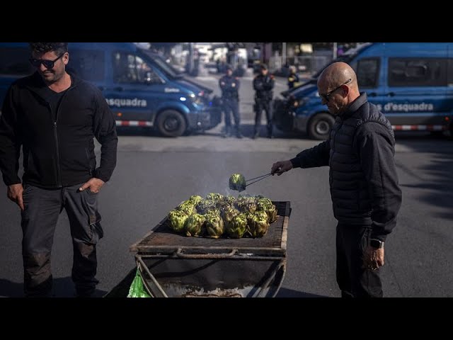 Adiós al Pacto Verde: Los agricultores podrán cultivar tierras en barbecho