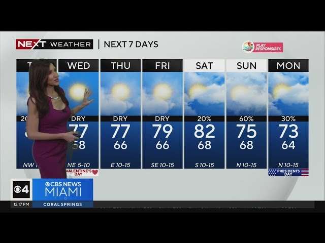 Miami Weather for Tuesday 2/13/2024 12PM