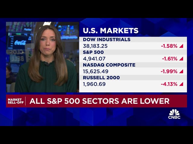 2024 playbook may mirror 2023 until there's a break in economic data: NY Life Investments'