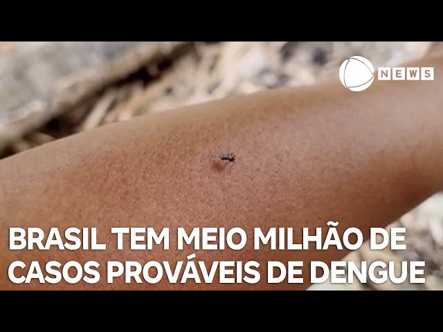 Brasil tem meio milhão de casos prováveis de dengue