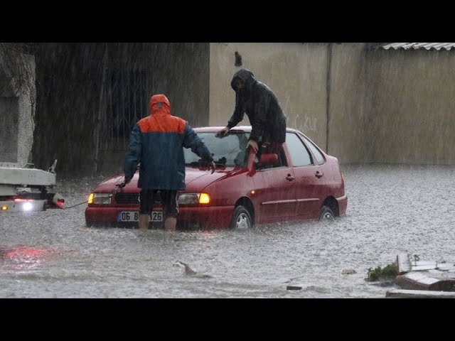 Hochwasser in Antalya in der Türkei -  auch Hunde und Katzen gerettet