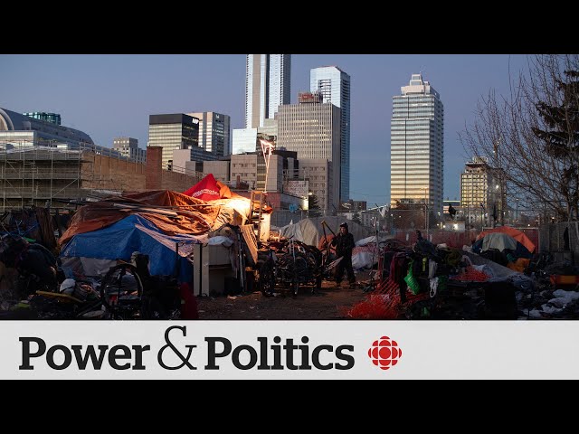 Housing advocate calls for national plan to address homeless encampments | Power & Politics