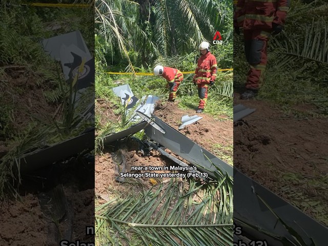 Two people killed in plane crash in Selangor, Malaysia