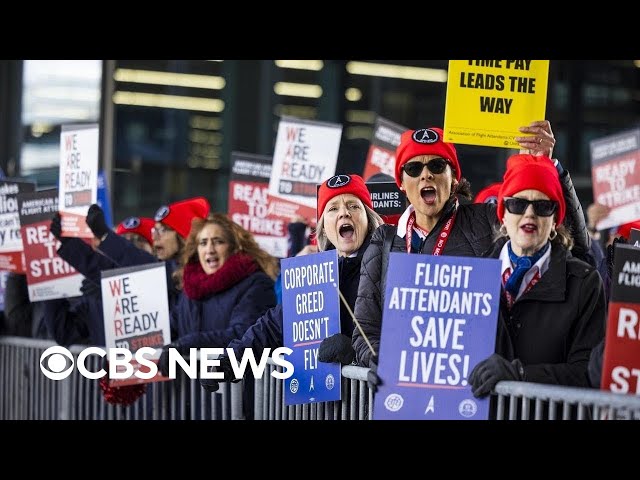 Flight attendants picket across U.S. for better working conditions