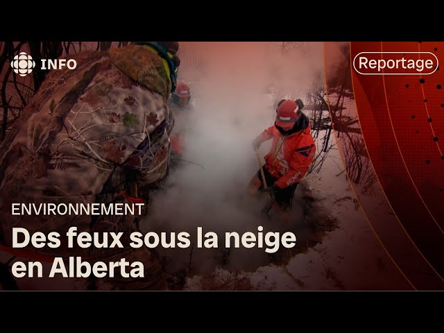 ⁣En plein hiver, des feux de forêt en Alberta