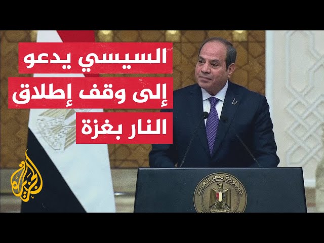 الرئيس المصري: زيارة الرئيس التركي إلى القاهرة تمثل صفحة جديدة في العلاقات بين البلدين