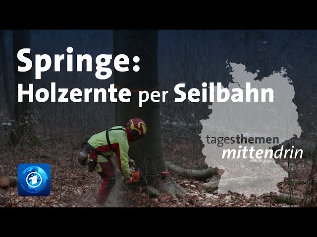 Springe: Holzernte per Seilbahn | tagesthemen mittendrin