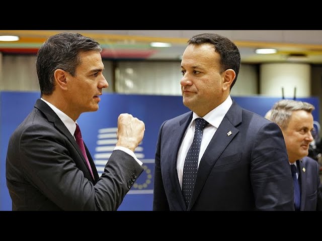 Spain and Ireland call for 'urgent review' of EU-Israel agreement over war in Gaza