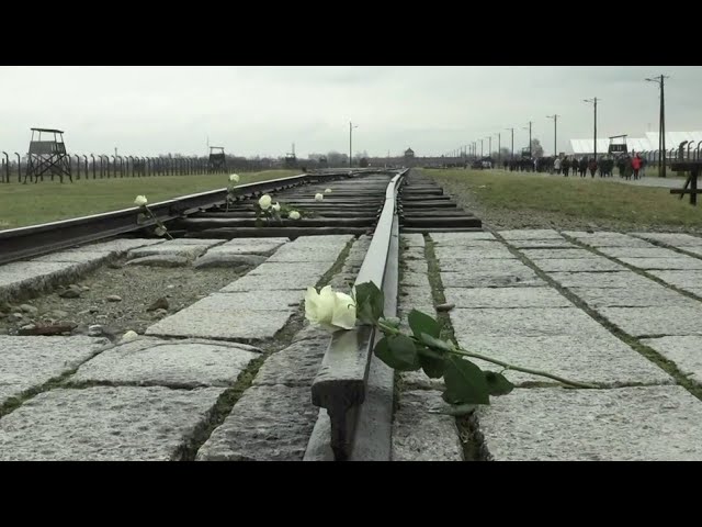 ⁣180 femmes à Auschwitz, contre l'antisémitisme