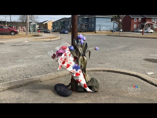 71-year-old woman dead after being hit by bus in Saint Johns, N.B.