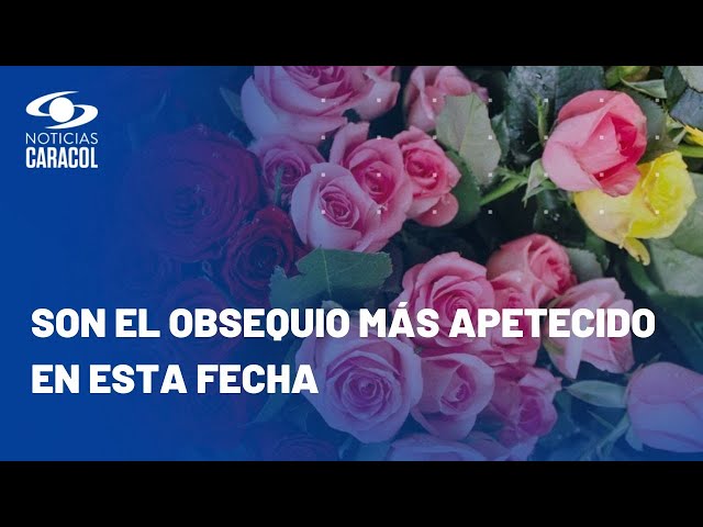 Así es el proceso de las flores que llegan desde Colombia a EE. UU. para San Valentín