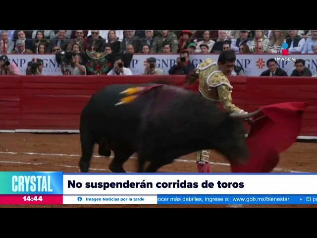 Corridas de toros seguirán en la Plaza México