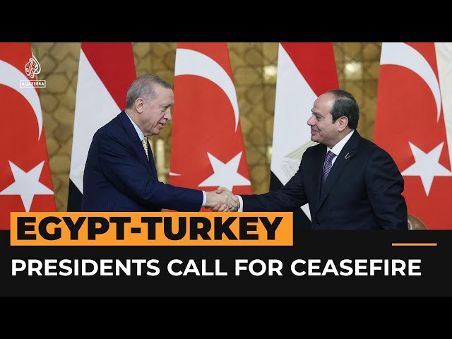 Turkey and Egypt call for ceasefire in Gaza  | Al Jazeera Newsfeed