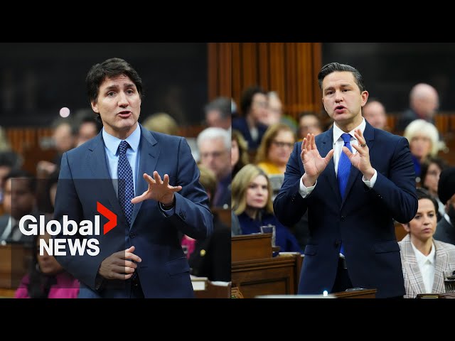 "WTF!?": Poilievre grills Trudeau over $258M given to IT firm with 4 employees to develop 