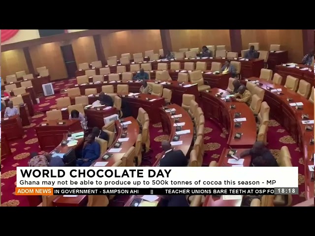 Chocolate Day: Ghana may not be able to produce up to 500k tons of cocoa this season - MP (14-2-24)