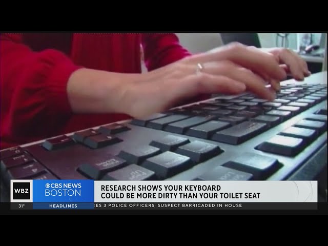 Does your computer keyboard have more bacteria than a toilet seat?