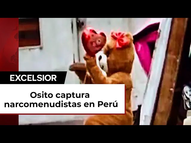 En 14 de febrero, osito cariñosito captura a narcomenudistas en Perú