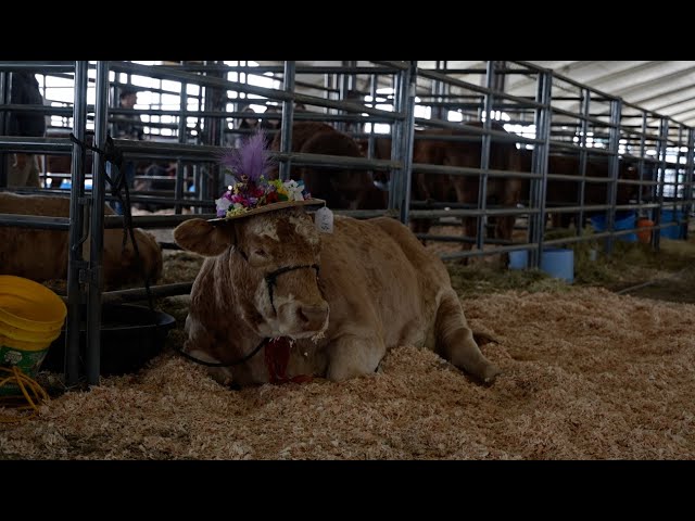 World Ag Expo begins its 57th show in Tulare