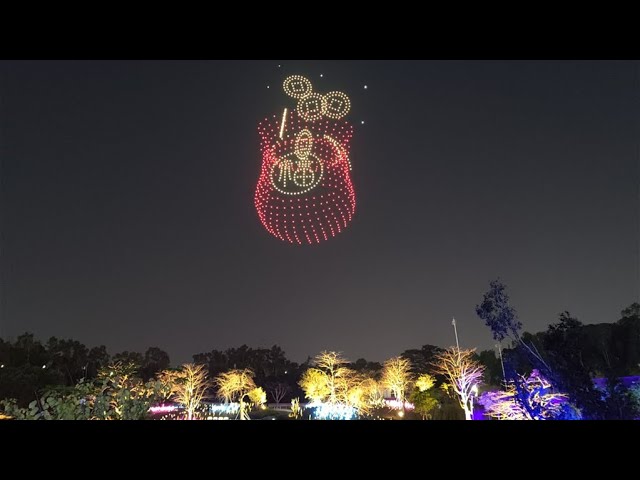 Festival des lanternes de Shenzhen