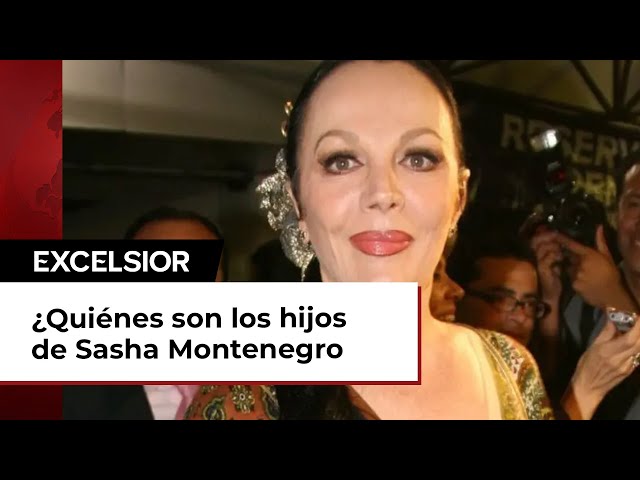 ¿Quiénes son los hijos de Sasha Montenegro y José López Portillo? A esto se dedican