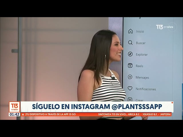 Plantsss: La app chilena que democratiza el aprendizaje sobre las plantas en el mundo