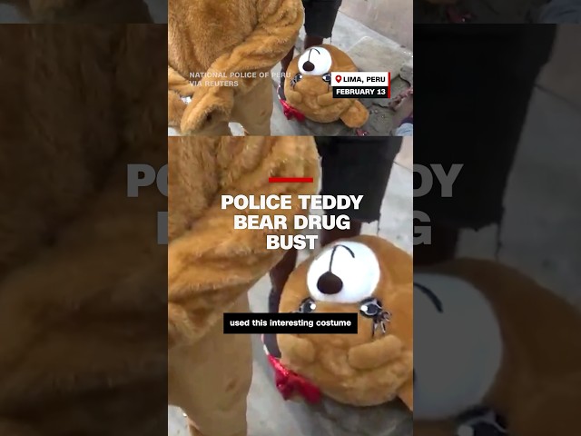 Police teddy bear drug bust