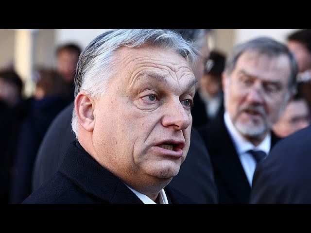 ⁣Proteste nach Pädophilie-Skandal: Demonstrierende fordern Rücktritt Orbans