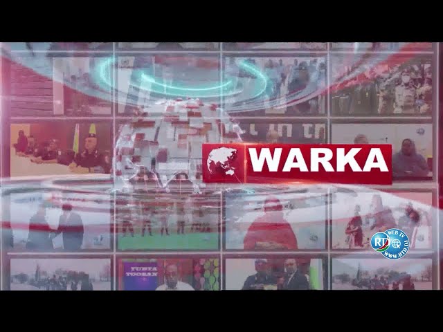 Warka 15/02/2024