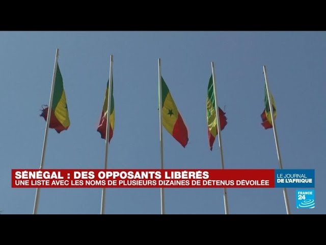 Sénégal, Le Conseil Constitutionnel annule le report de la présidentielle • FRANCE 24