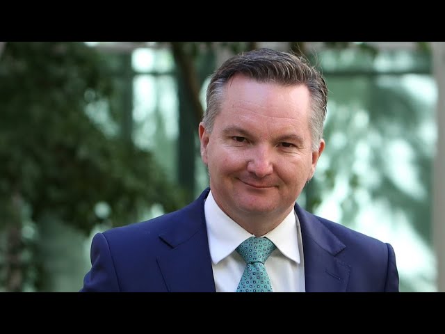 Chris Bowen's 'magic' renewable switch will 'fall out of the sky': Keith Pi