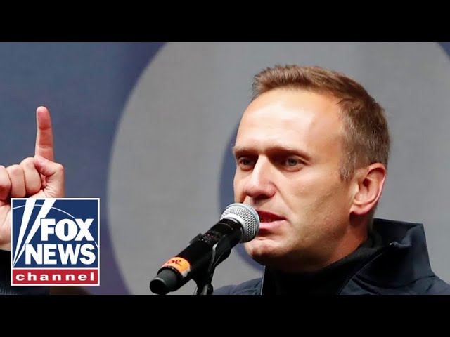 Alexei Navalny was at Siberian death camp, says ex-CIA official